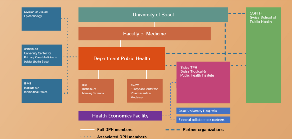 organogram